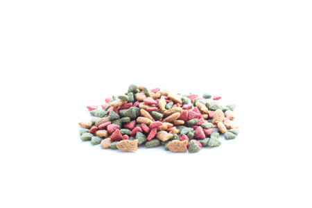 Ready-made cat food for convenient cat loverの写真素材