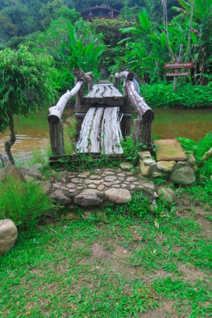 Wooden walking bridge and the area of peacefulの写真素材