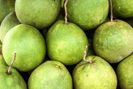 Grapefruitの写真素材