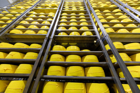 Big heads of fresh cheese lying on shelves of cheese warehouseの写真素材