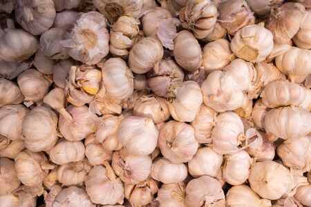 Organic white garlic in pile close-up. Spicy vegetable for salad or other dish.