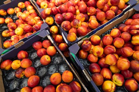Colourful delicious nectarine in paper boxes at farmers market of grocery store. For agruculture, food illustration backdrop. diagonal viewの写真素材