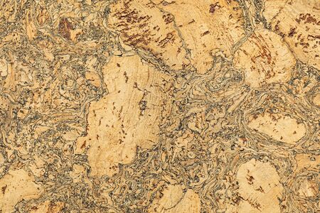 Close-up of cork acoustic insulation material for floors and wallsの写真素材