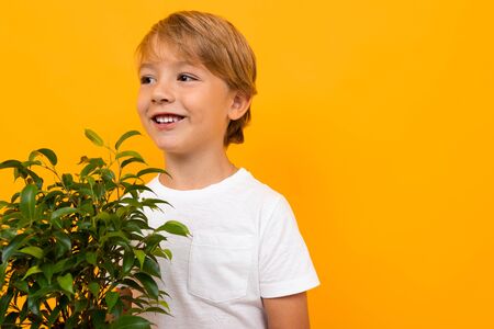 blond european boy with leafy pot plant on yellow background.