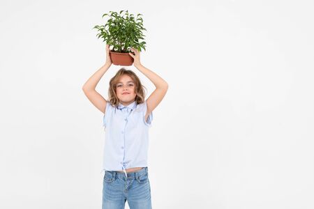 teenage gardener girl holding a houseplant with green leaves on a white background with copy space.の写真素材