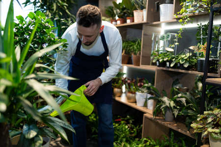 florist entrepreneur preparing their store for active sales on Valentines Day