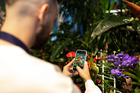 florist photographs flowers on the phone for sale in the online store