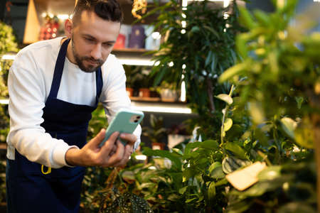 experienced gardener man in an apron takes a picture of potted plants on a mobile phone