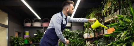 playlist in the store watering flowers from a watering canの写真素材