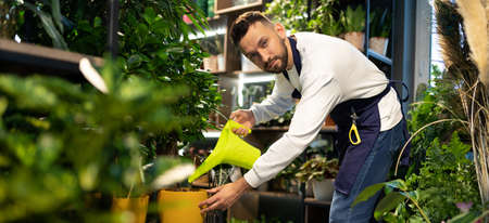 male florist at work in a flower shopの写真素材