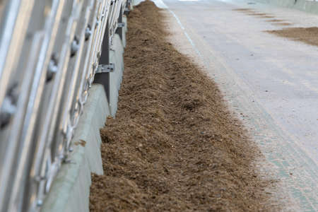 fodder table with compound feed at a modern dairy cow farmの写真素材