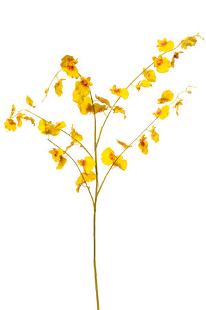 Bright yellow artificial orchid branch made of silicone and latex for home decor and floral arrangementsの写真素材