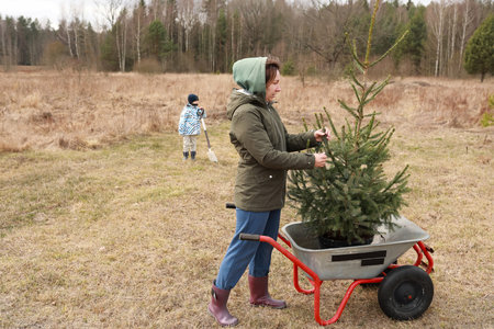 Mother and child enjoying family time in nature while decorating a young Christmas tree during a chilly day in early winterの写真素材