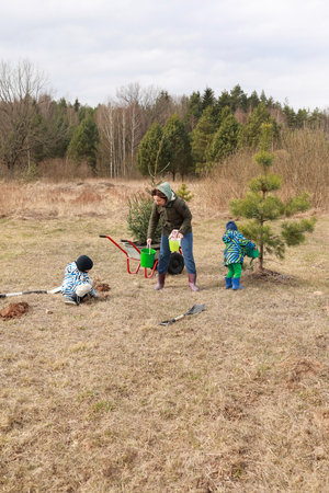 Family engages in tree planting activity in a rural field during springtimeの写真素材
