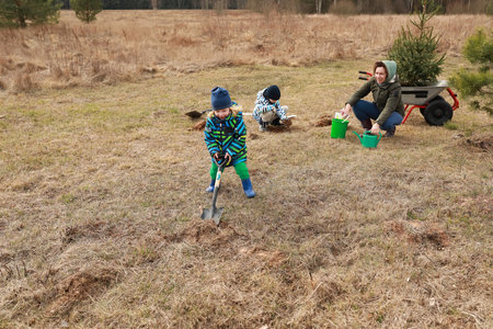 Children and adult gardening together on a sunny day in a field, planting trees and enjoying natureの写真素材