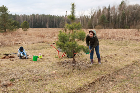 Community members planting trees in a wooded area during a cloudy day in early springの写真素材