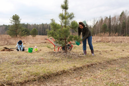 Community members planting trees in a rural area during a cloudy afternoon in early springの写真素材