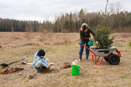 Children and adult plant a tree in a grassy field during a cloudy day in early springの写真素材