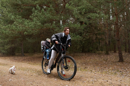Mother rides bicycle on forest path with child in stroller and dog running alongside during autumn afternoonの写真素材