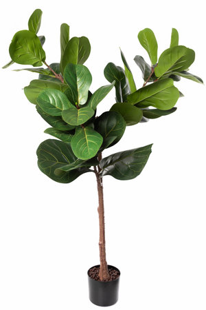 Artificial fiddle leaf fig tree in a black pot adds greenery to indoor decor in a modern settingの写真素材