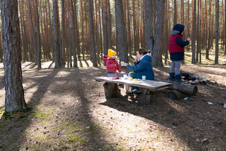 Family enjoys a picnic in a serene forest clearing during sunny autumn afternoonの写真素材
