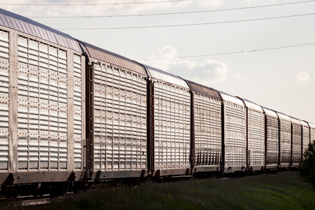Several metal railway goods cars shining in sunset lightの写真素材