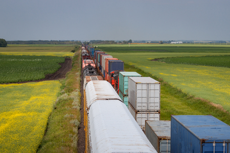 Two Trains Passing Through Vibrant Fields in Canadian Prairieの写真素材