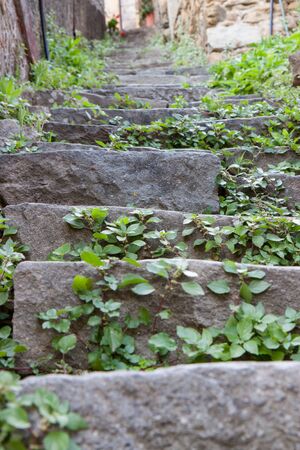A series of overgrown stone steps leading up in Riomaggiore Italyの写真素材