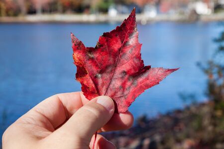 Hand Holding Red Leaf by Blue Lake