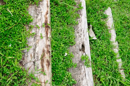 Wooden staircase in the garden of the hotelの写真素材