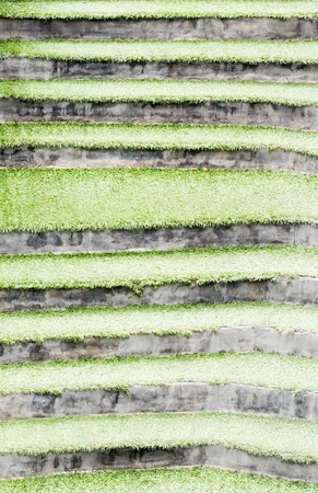 Grass stairs in the garden of the theme park.の写真素材