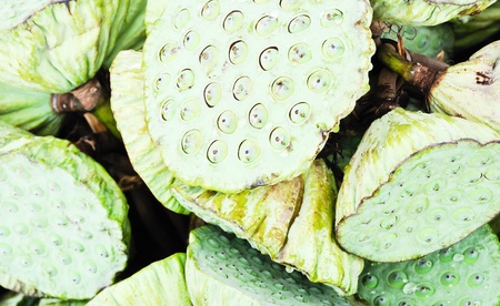 Close up of lotus pods in Thai market.の写真素材
