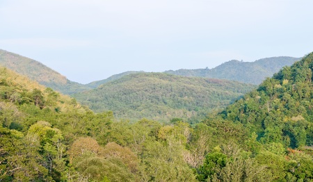 Colorful  forest on the mountain of national park in fall.