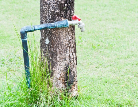 Old faucet under the tree in the park.のeditorial素材