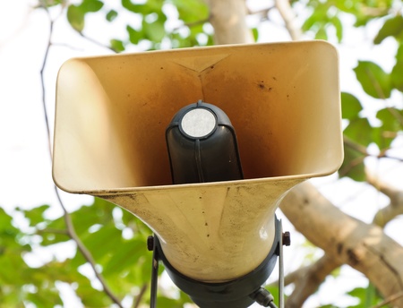 Yellow megaphone is hanging on the tree of city park の写真素材