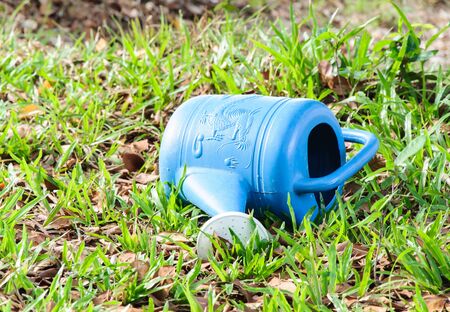 Blue plastic watering can in the flower garden の写真素材