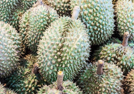 Fresh durian on the fruit stalls in Thai market の写真素材