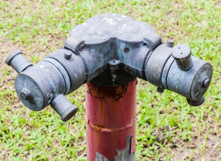 Double head of old fire hydrant in the grass of factory の写真素材