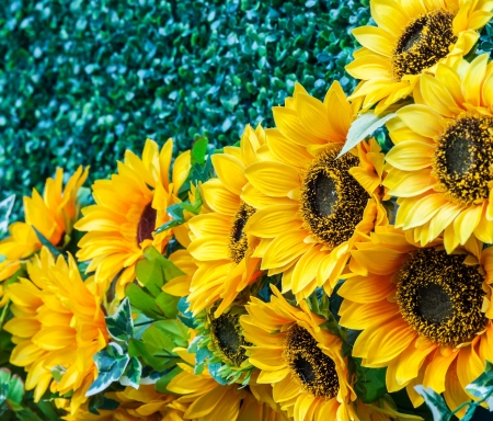 Artificial sunflower on the grass background of vertical garden.の写真素材