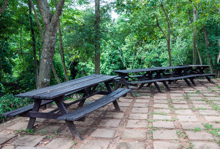 Wooden bench under the fresh tree in national park 