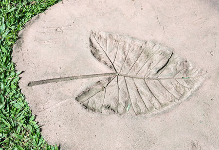Leaves Imprint in the sandstone of urban park.の写真素材