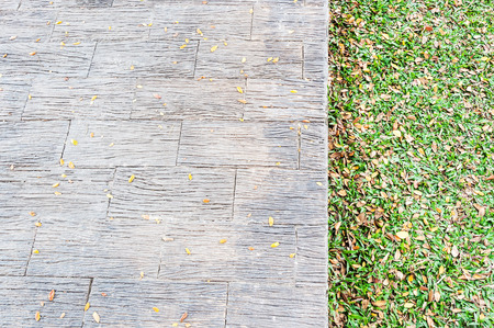 Closeup of brick pathway in the urban garden.の写真素材
