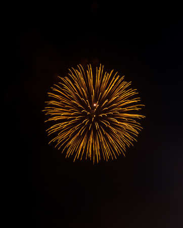 Golden firework of the New year festival at midnight.の写真素材