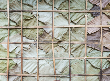 Dry leaves wall of the famer hut in farmland.の写真素材
