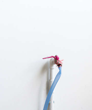 Old watering hose near the white wall of modern house.