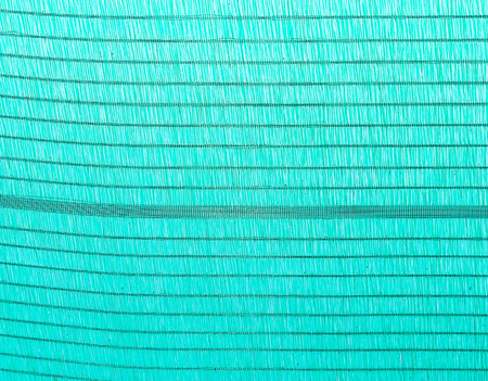 Old plant shading over the small green house.の写真素材