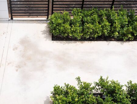 Concrete floor with the shrub for u-turn area in the urban village.の写真素材
