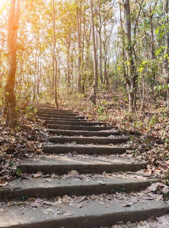 Old concrete staircase with the sunlight in the natural trail for climbing to the high mountain.の写真素材