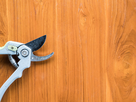 Modern shears with the copy space on the wooden table after the gardening.の写真素材
