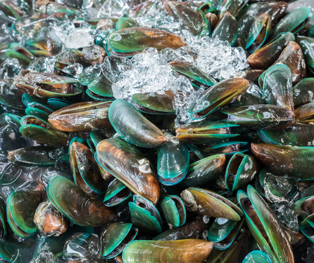 Fresh mussels with the ice on the metal tray in the Thai local market.の写真素材